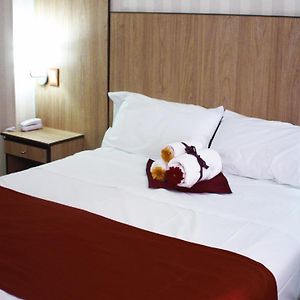 Habitación Individual Superior